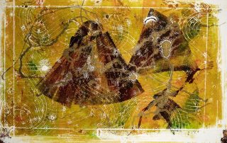 35*53, монотипия, бумага/офсетная краска